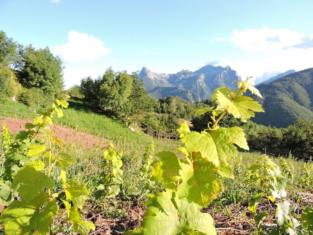 Отель Rifugio Alpi Apuane Careggine Экстерьер фото